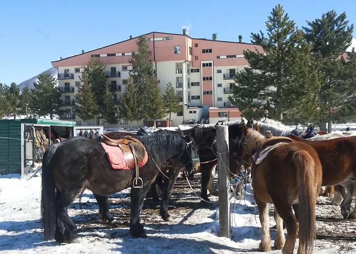 Ξενοδοχείο Magnola Palace Ovindoli