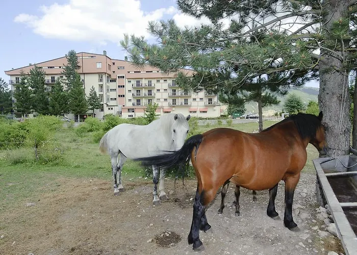 Magnola Palace Hotel 3*